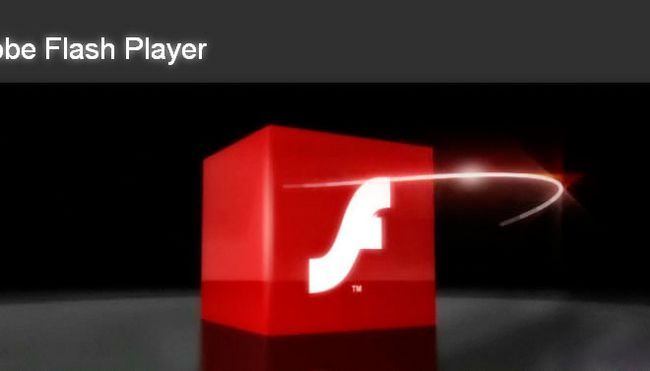 Photographie - Adobe flash player 17 télécharger gratuitement - fonctionnalités, des corrections, les liens de téléchargement, des améliorations et mises à jour