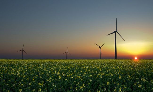 Photographie - L'énergie verte 101: chaque petite chose que vous devez savoir