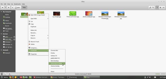 Envoyer des fichiers de Linux Mint Nemo