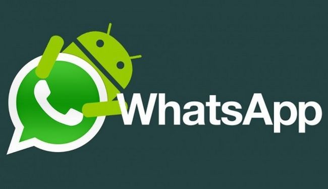 Photographie - WhatsApp téléchargement 2.12.126 pour Android - les meilleures améliorations et processus d'installation